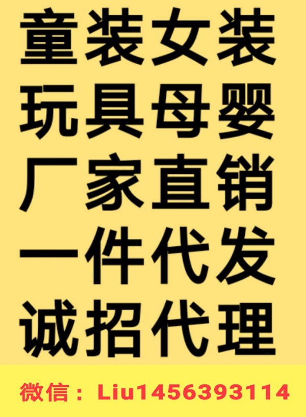 百種紙尿褲母嬰玩具一件代發招代理 廠家直銷